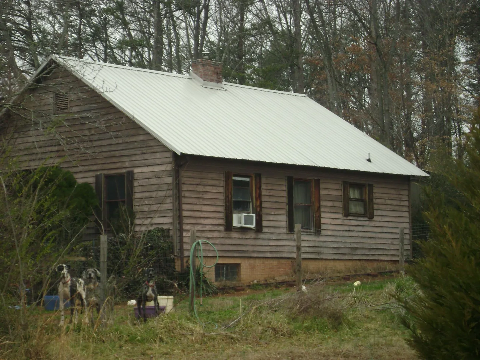 White metal roof on an old wood sided farmhouse, from a Metal Roof Installation job in Cotopaxi